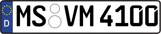 MS-VM4100