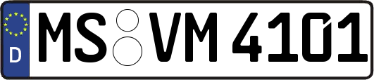 MS-VM4101