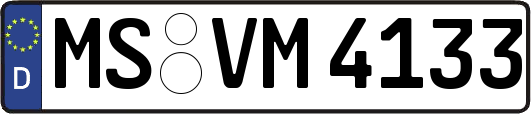 MS-VM4133
