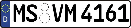 MS-VM4161