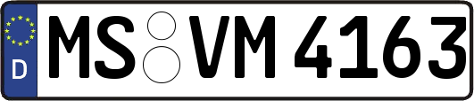 MS-VM4163