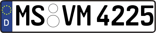 MS-VM4225
