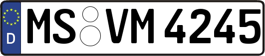 MS-VM4245