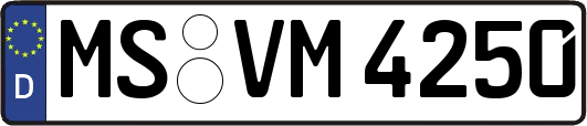 MS-VM4250