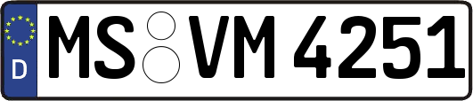 MS-VM4251