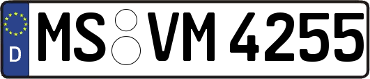 MS-VM4255