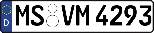 MS-VM4293