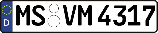 MS-VM4317