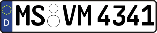 MS-VM4341