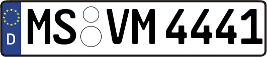 MS-VM4441