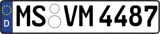 MS-VM4487