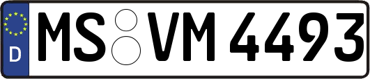 MS-VM4493