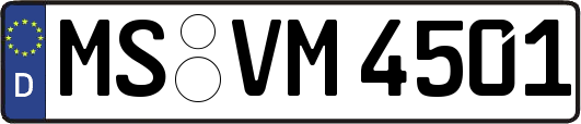 MS-VM4501
