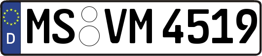 MS-VM4519
