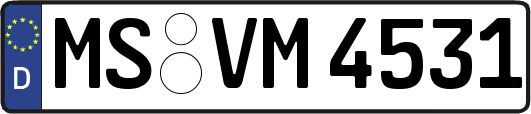 MS-VM4531