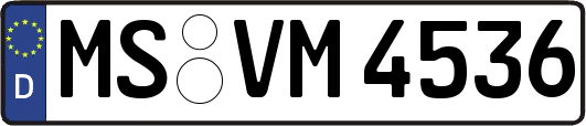 MS-VM4536