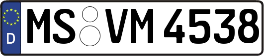 MS-VM4538