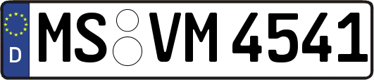 MS-VM4541