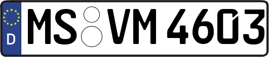 MS-VM4603