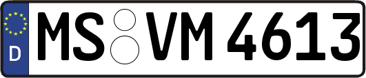 MS-VM4613