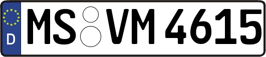 MS-VM4615