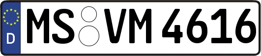 MS-VM4616