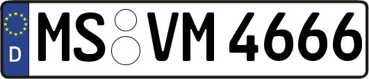 MS-VM4666