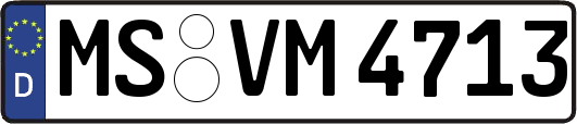 MS-VM4713