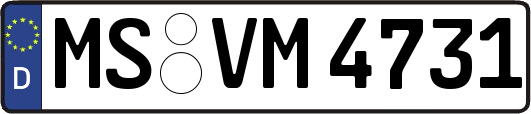 MS-VM4731