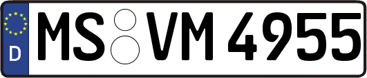 MS-VM4955