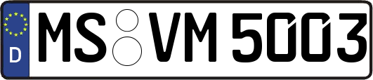 MS-VM5003