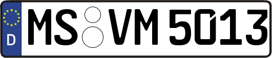 MS-VM5013