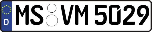 MS-VM5029