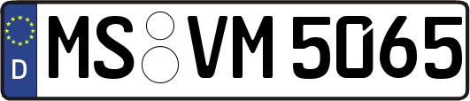 MS-VM5065