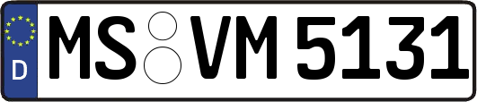 MS-VM5131
