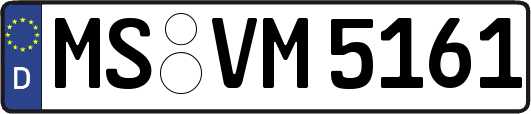 MS-VM5161