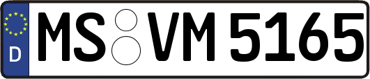 MS-VM5165