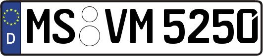 MS-VM5250