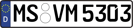 MS-VM5303