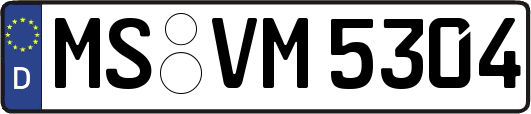 MS-VM5304