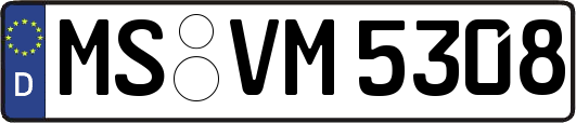 MS-VM5308
