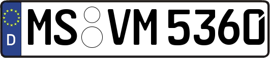 MS-VM5360