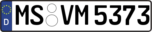 MS-VM5373