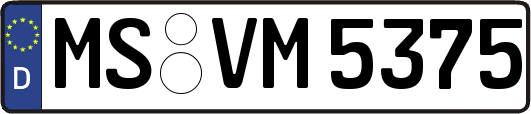 MS-VM5375
