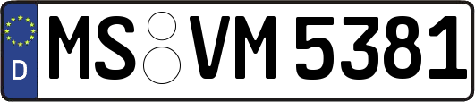 MS-VM5381
