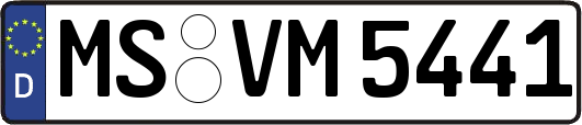 MS-VM5441