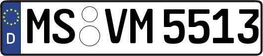 MS-VM5513