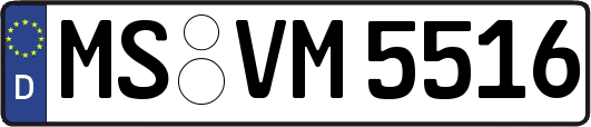 MS-VM5516