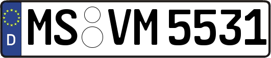 MS-VM5531