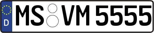 MS-VM5555